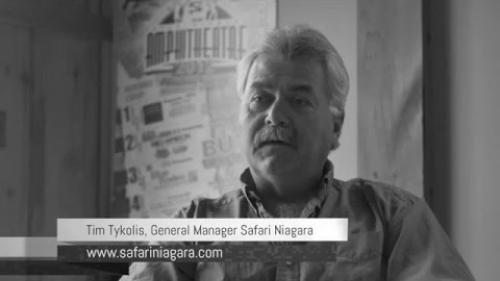 LAC Client Testimonial - Tim Tykolis Owner Safari Niagara